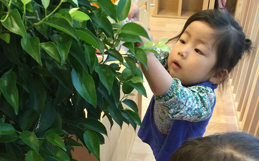 その他のこだわり